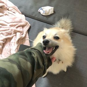 Meet your Posher, Krissy